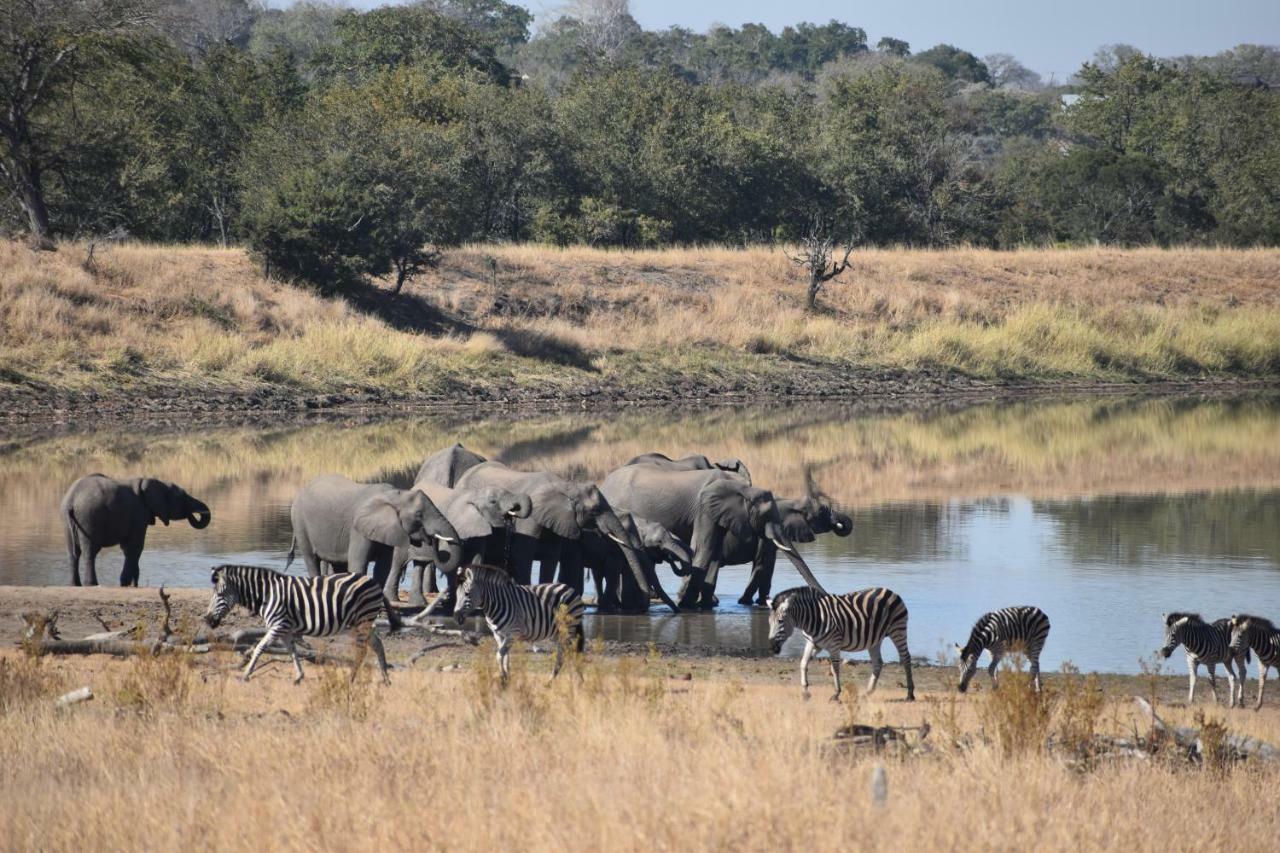 Mzsingitana Tented Camp Hoedspruit Exterior foto