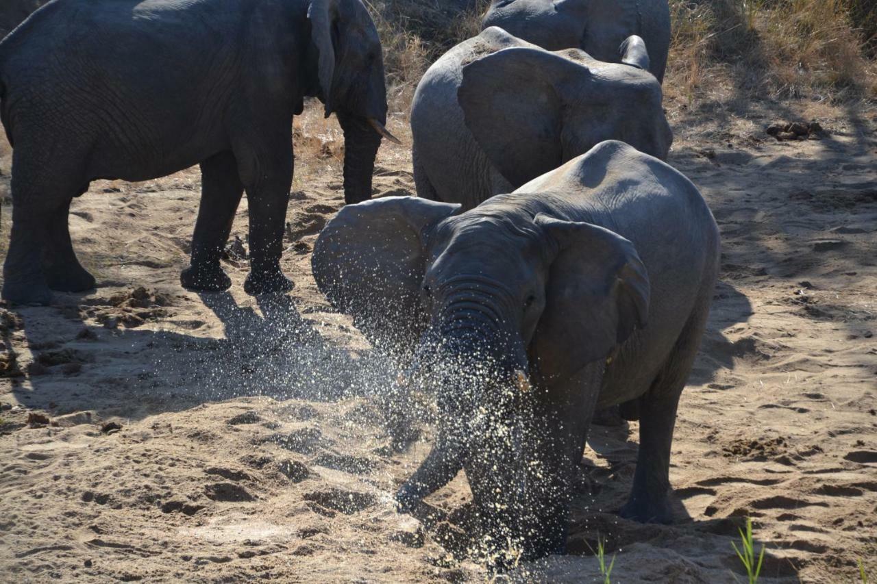 Mzsingitana Tented Camp Hoedspruit Exterior foto