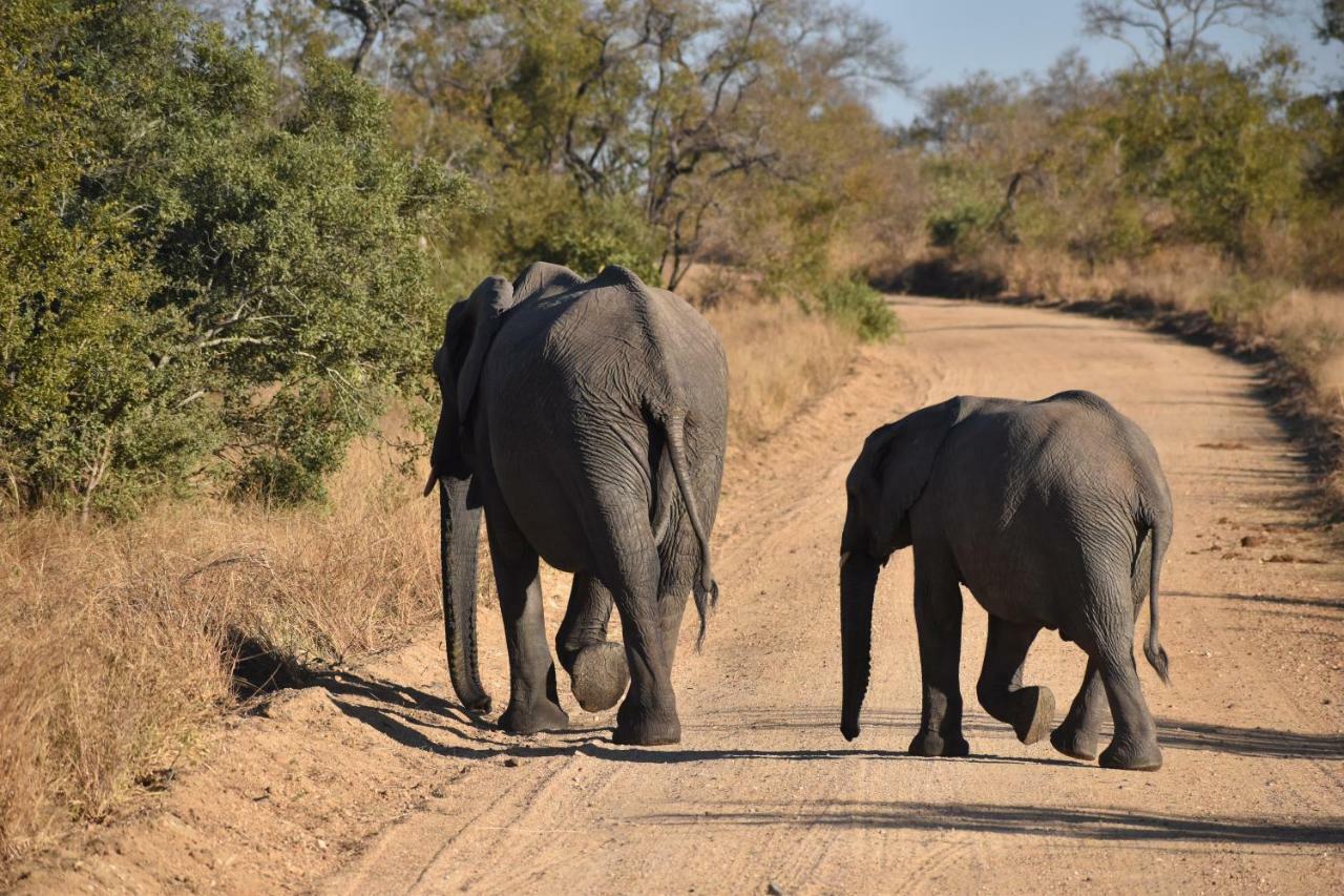 Mzsingitana Tented Camp Hoedspruit Exterior foto